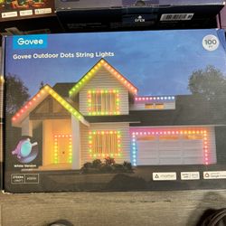 Govee Outdoor Dots String Lights 100 Ft