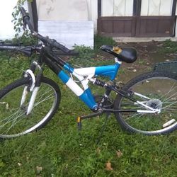 Blue & White Adult Bike