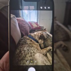 LOCKED iphone 13 pro
