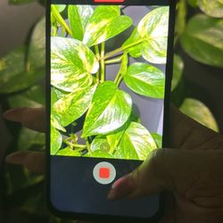 Unlocked iPhone 13Pro 256gb 