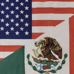USA / Mexico Flags - Banderas 