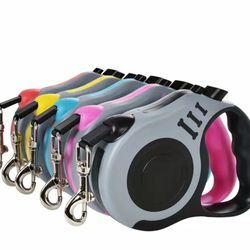 Retractable Leash 