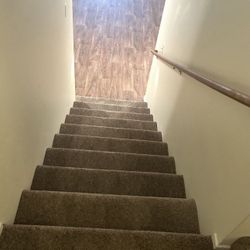 Carpet 