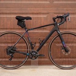 2020 Salsa Warroad Carbon Apex 1