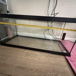 Reptile Tank 