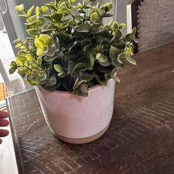 Faux Plant 