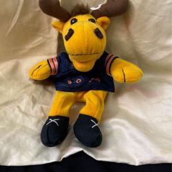 Denver Bronco Collector Item 