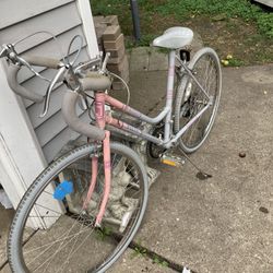 Women Bike 24”