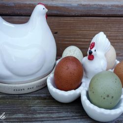 Rainbow Hatching Eggs, Chicks, Pullets, Hens