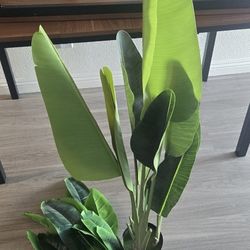 Faux Plant