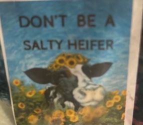 New Don’t be a Salty Heifer  Blanket. Fun gift!