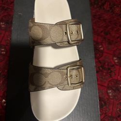 Allanah Sig Sandal 