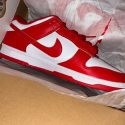 Dunks Size 10/5