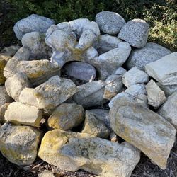 Water Fountain 