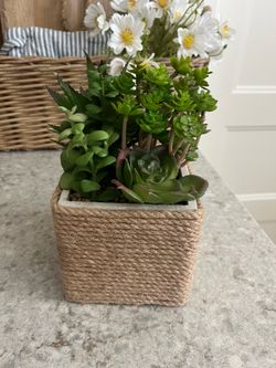 Faux plant $6