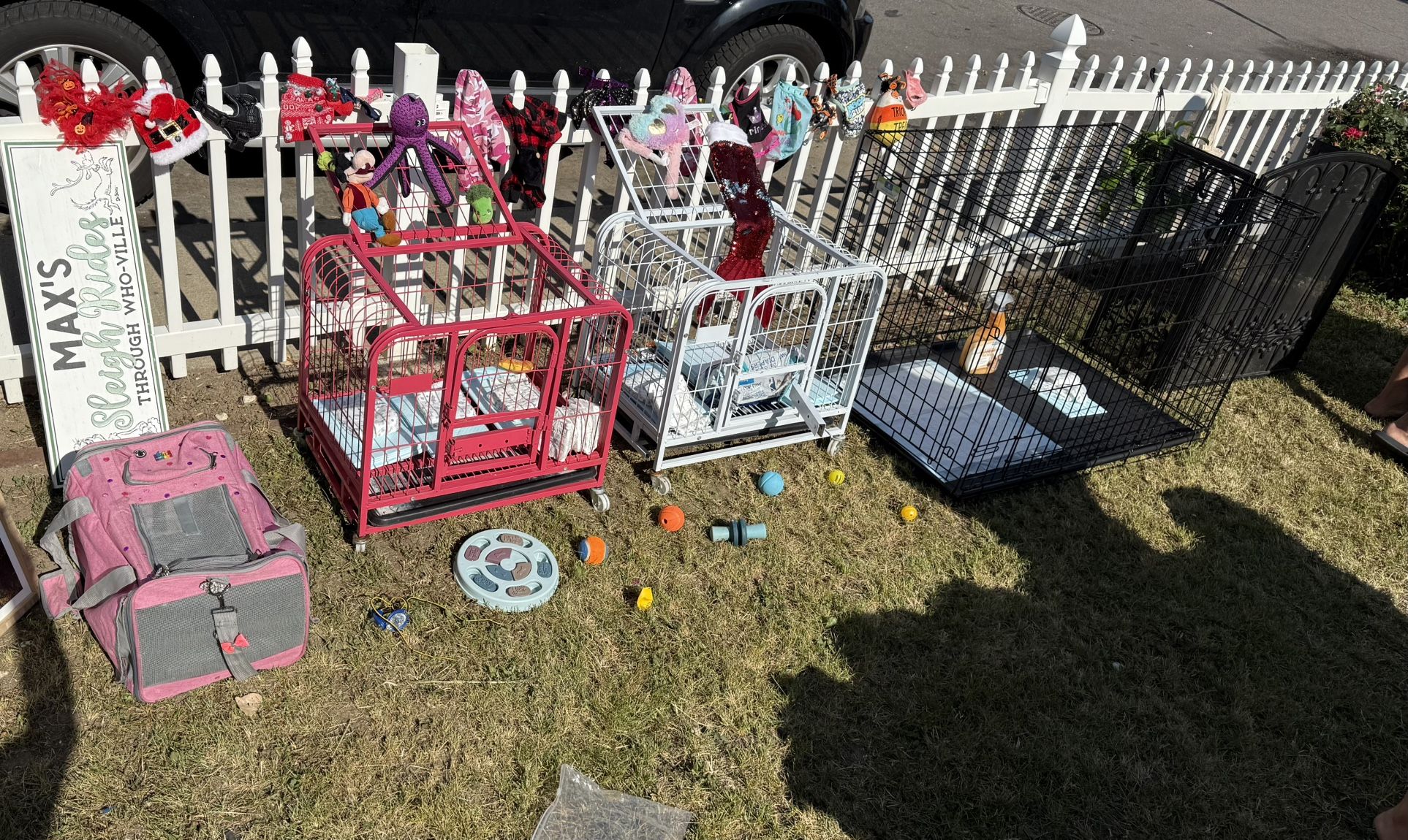 Pet Supplies