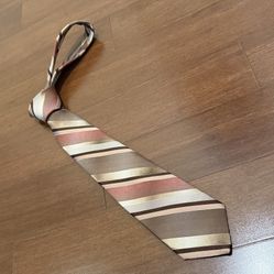 Allyn St George Striped Men's Tie in Brown and Pink