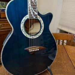 Taylor 14ce — Only at Petr’s Violin Shop & Guitar Central