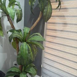 Fake Plant 