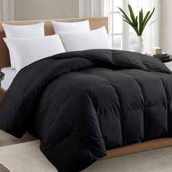 Black Queen 2100 Series All-Season Down Alternative Comforter 88"x88"
