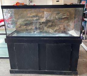75 gallon fish tank