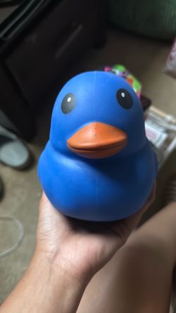 Squeeze Duck