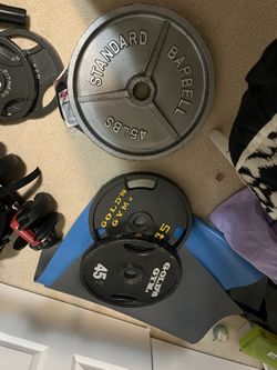 Metal 45lbs plates ($40 each)