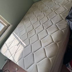2 Free Queen Size Mattresses