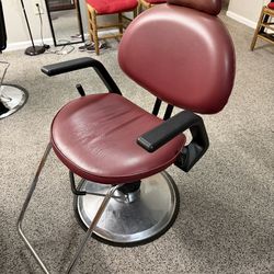 Salon Chair