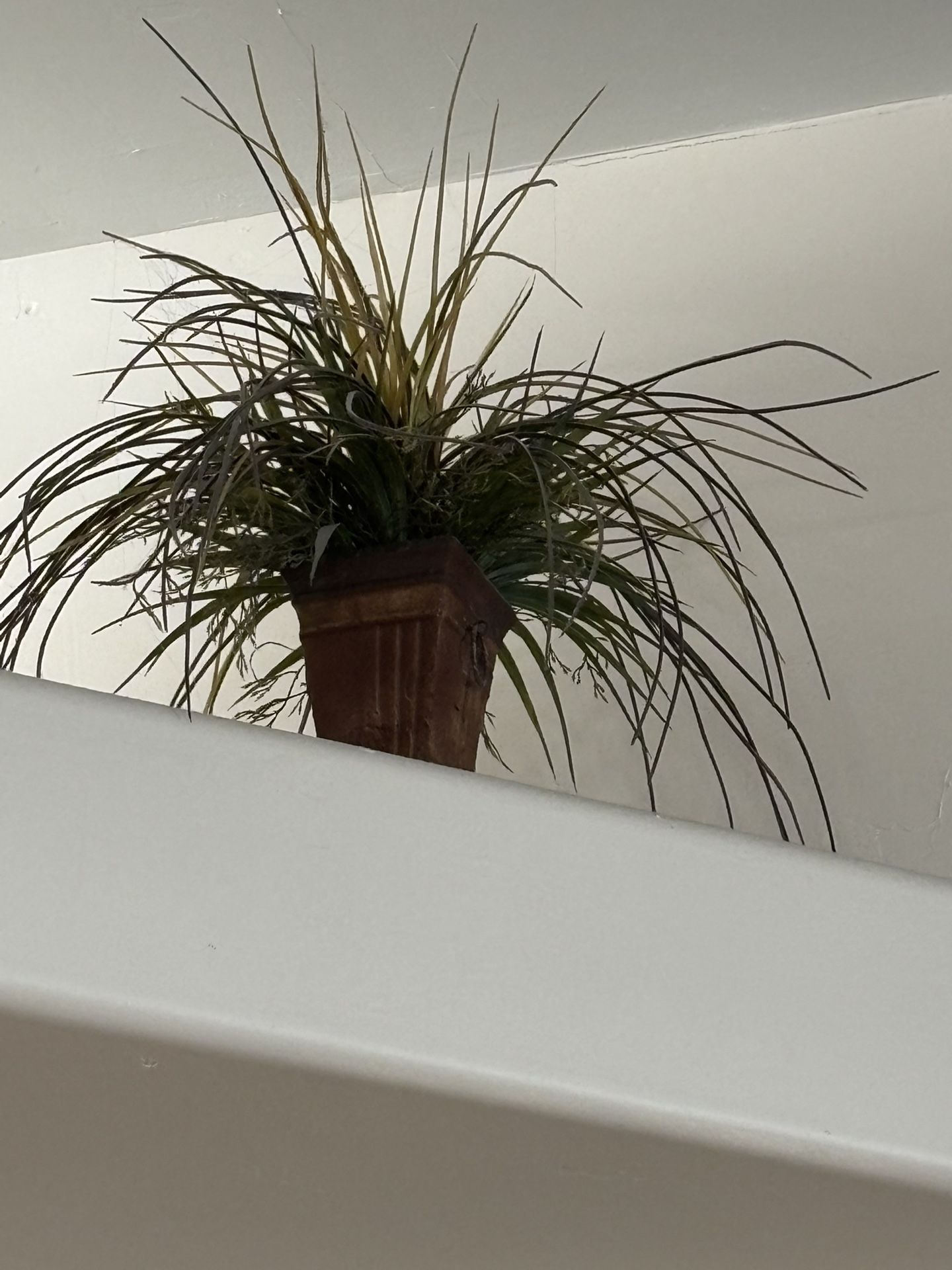Faux House Plants