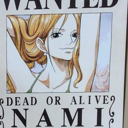 Wanted Dead Or Alive Nami Canvas 16"x20" $25
