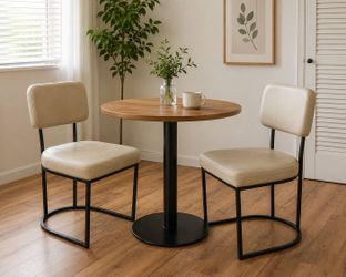 Set of 2 dinning chairs