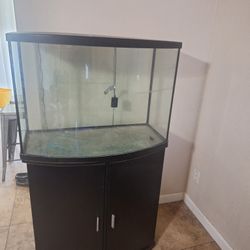 100 Gallon Fish Tank 