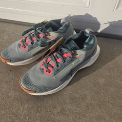 Nike React Pegasus Trail 5 Gore-Tex (OBO)