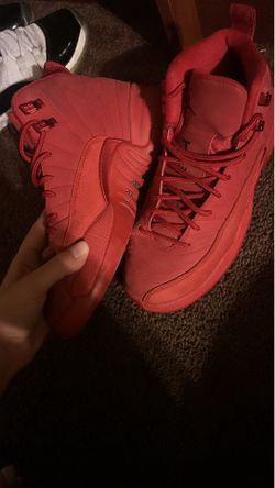 Jordan retro 12s