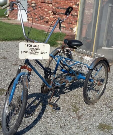 Blue cruiser 3 wheel bicycle