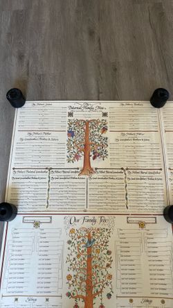 Our Family Tree, Paternal Family Tree and Maternal Family Tree posters