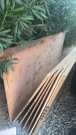 1/2 inch sheathing plywood