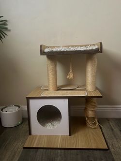 Cat post
