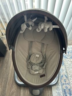 Baby Swinger