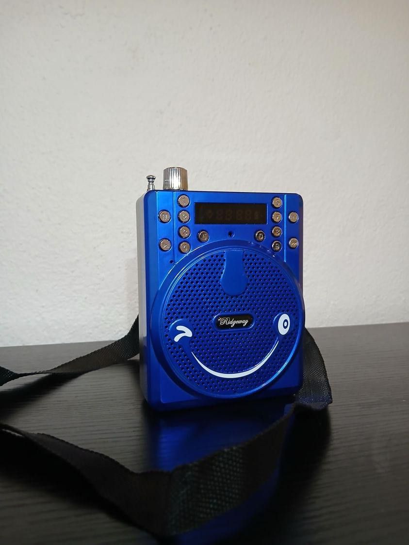 Blue Ridgeway Speaker