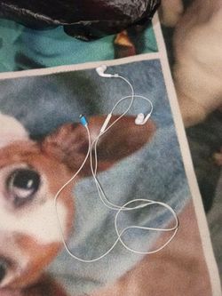 iPhone headphones