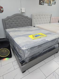 Queen Sizes Bed With Mattress
