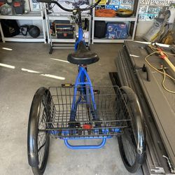 Alameda Tricycle With Basket 