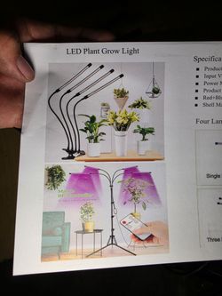 Grow light
