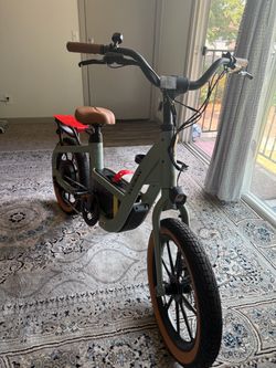 Electronic Bike