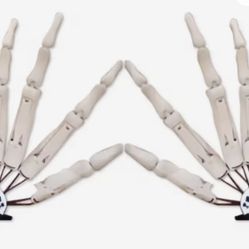 Halloween Skeleton Hands Nightmare Before Christmas 