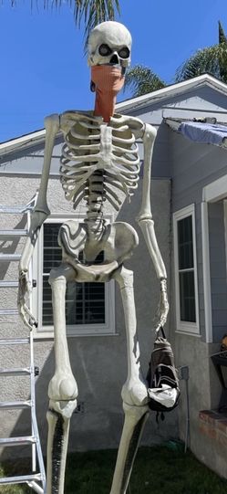 12’ Skeleton