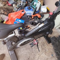 Schwinn Exercise Bike