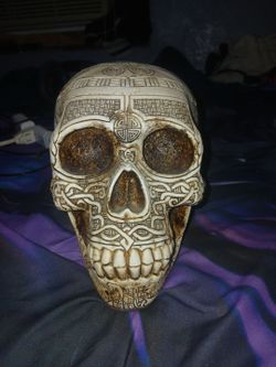 Viking skull (not human)